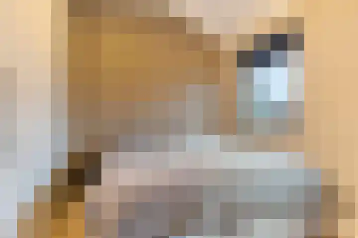 Monnikenpad 33 Veldhoven thumbnail 18