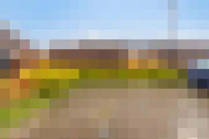 Monnikenpad 33 Veldhoven thumbnail 23