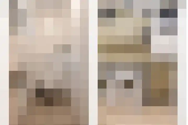 Monnikenpad 33 Veldhoven thumbnail 8