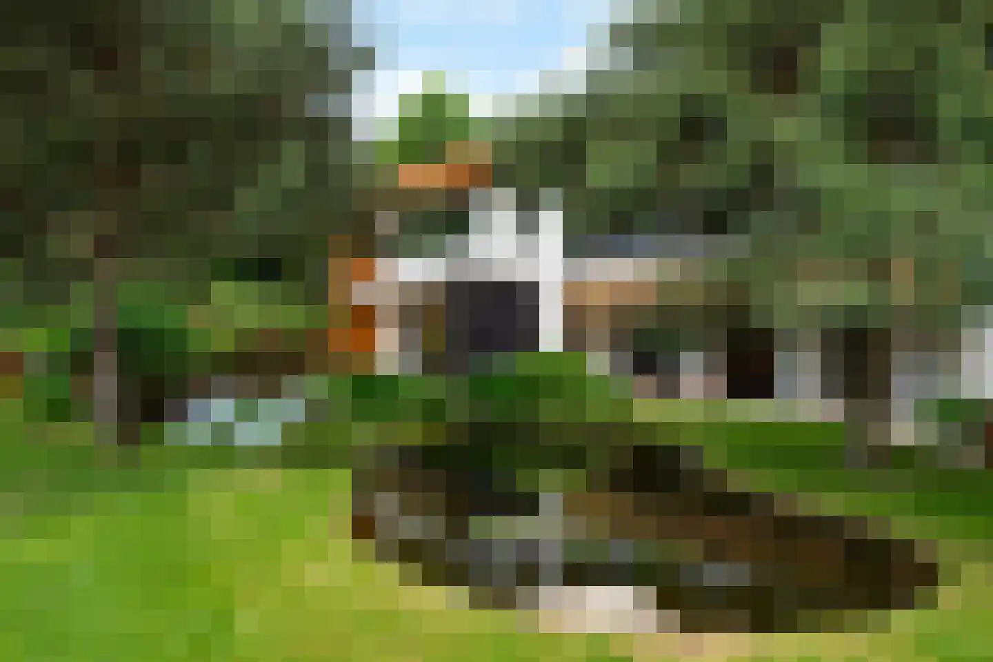 Monnikensteeg 10 Arnhem thumbnail 40