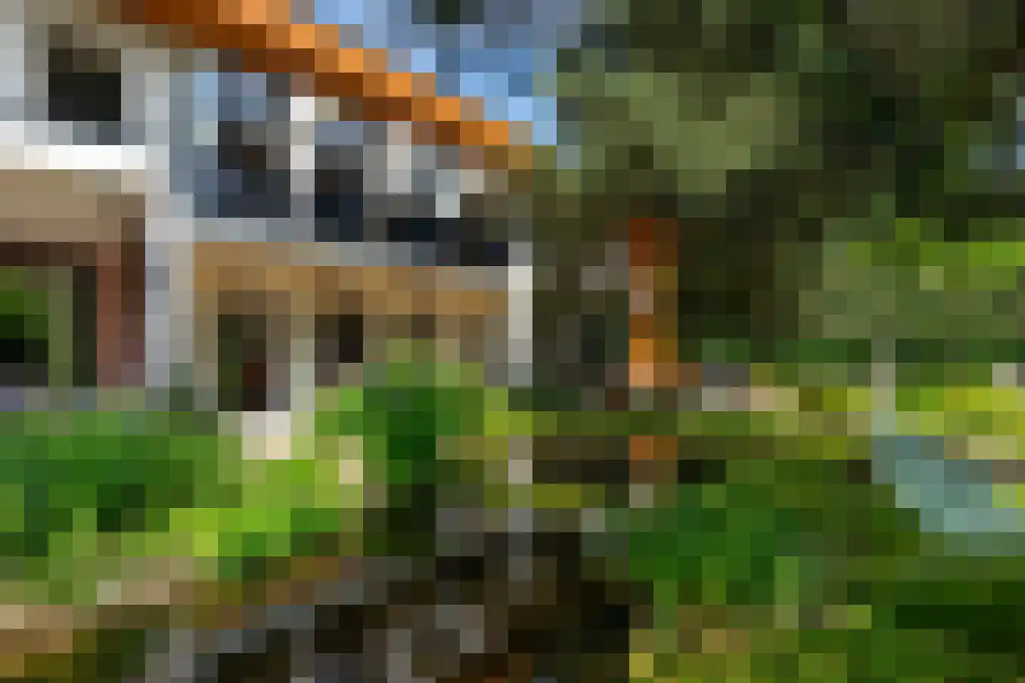 Monnikensteeg 10 Arnhem thumbnail 41