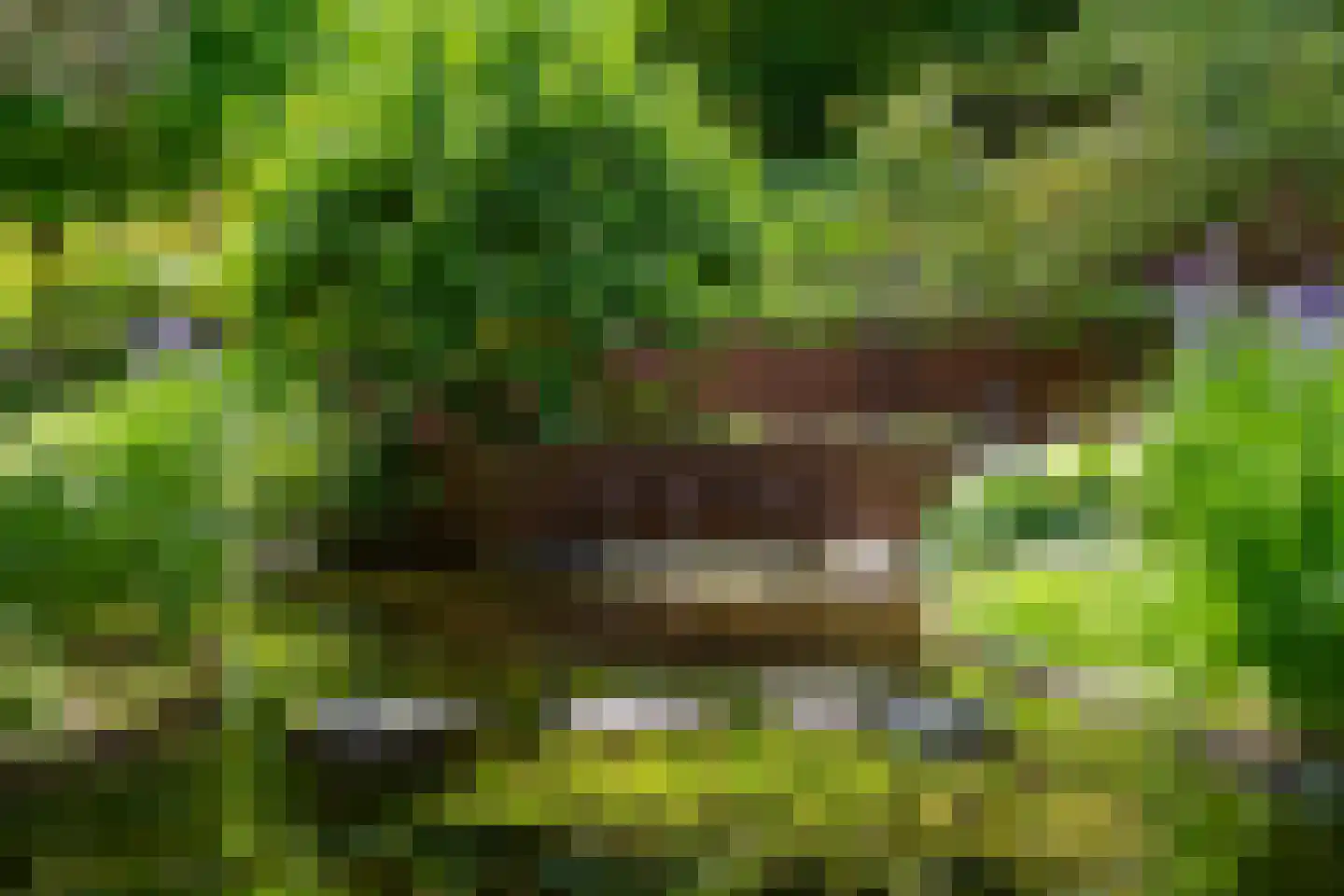 Monnikensteeg 10 Arnhem thumbnail 42