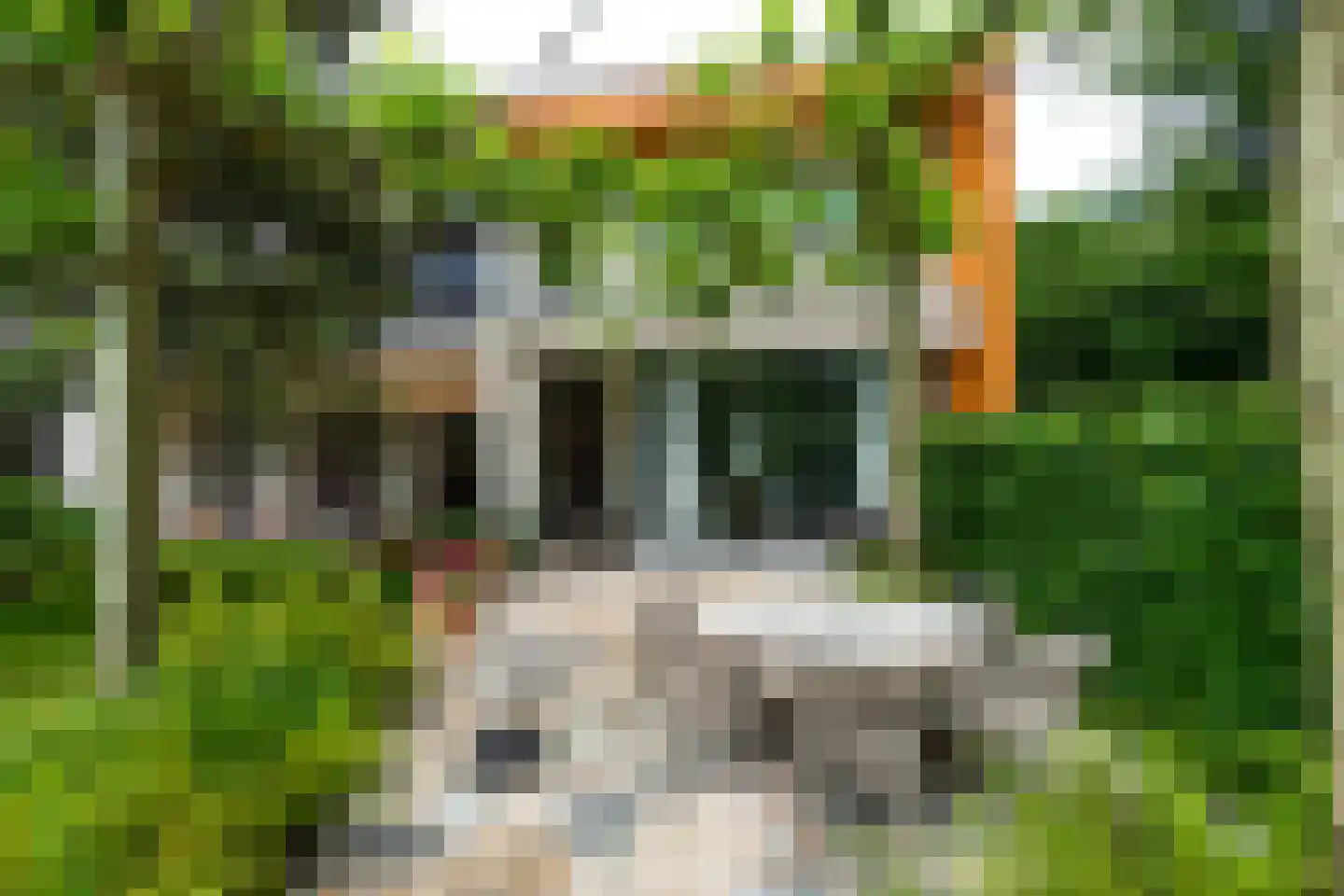 Monnikensteeg 10 Arnhem thumbnail 43