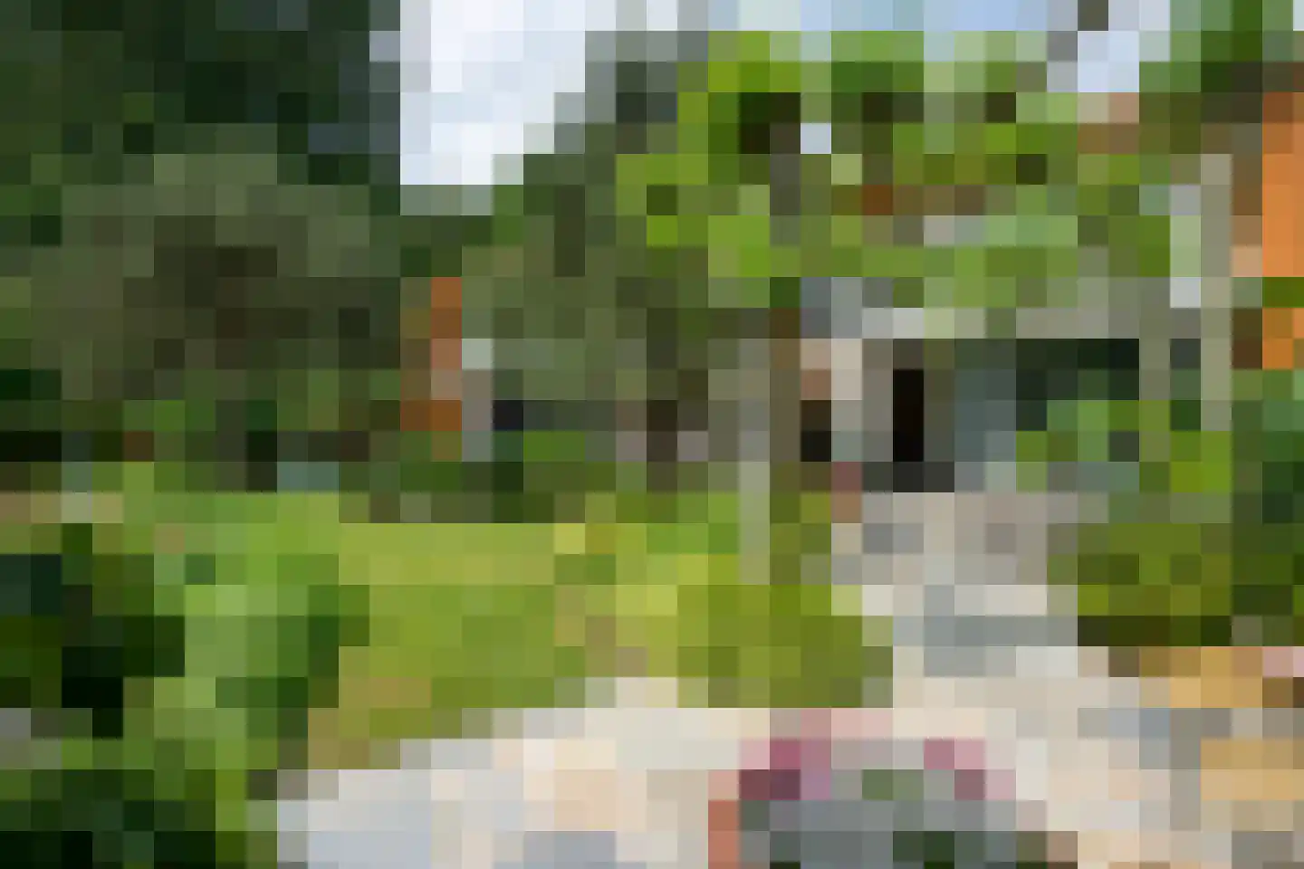 Monnikensteeg 10 Arnhem thumbnail 44