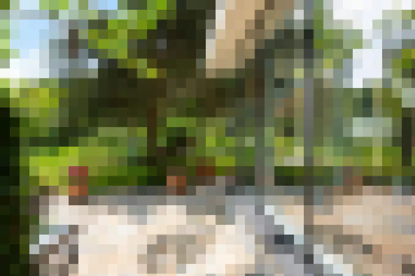 Monnikensteeg 10 Arnhem thumbnail 45