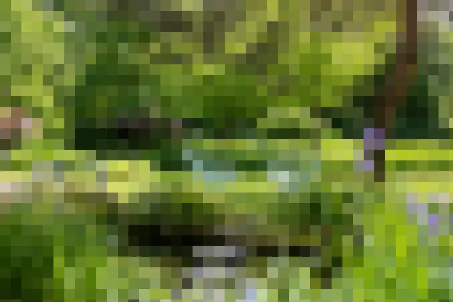 Monnikensteeg 10 Arnhem thumbnail 47