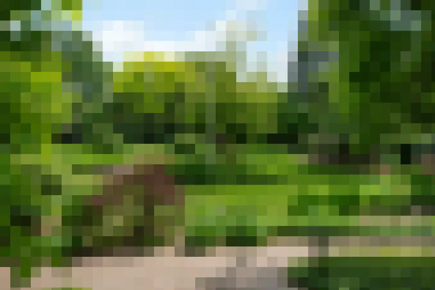 Monnikensteeg 10 Arnhem thumbnail 48