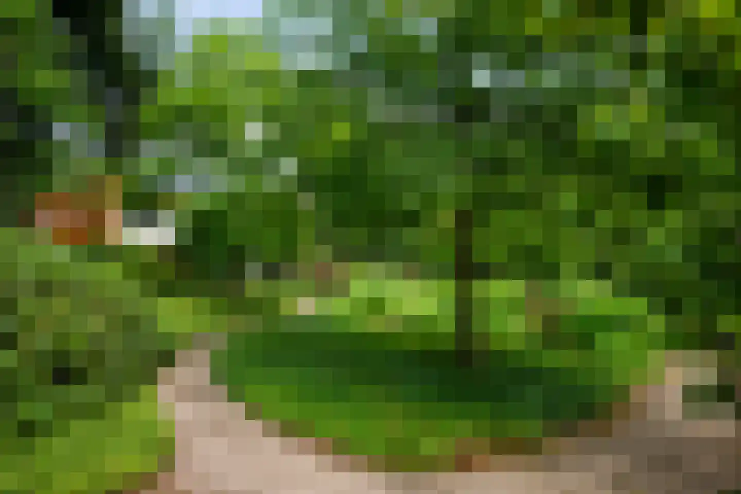 Monnikensteeg 10 Arnhem thumbnail 49