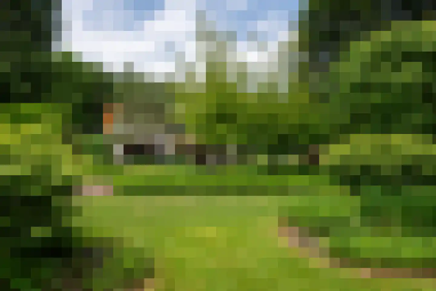 Monnikensteeg 10 Arnhem thumbnail 50