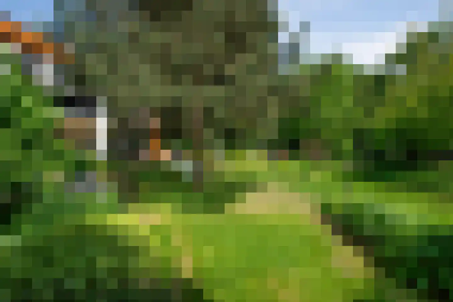 Monnikensteeg 10 Arnhem thumbnail 51