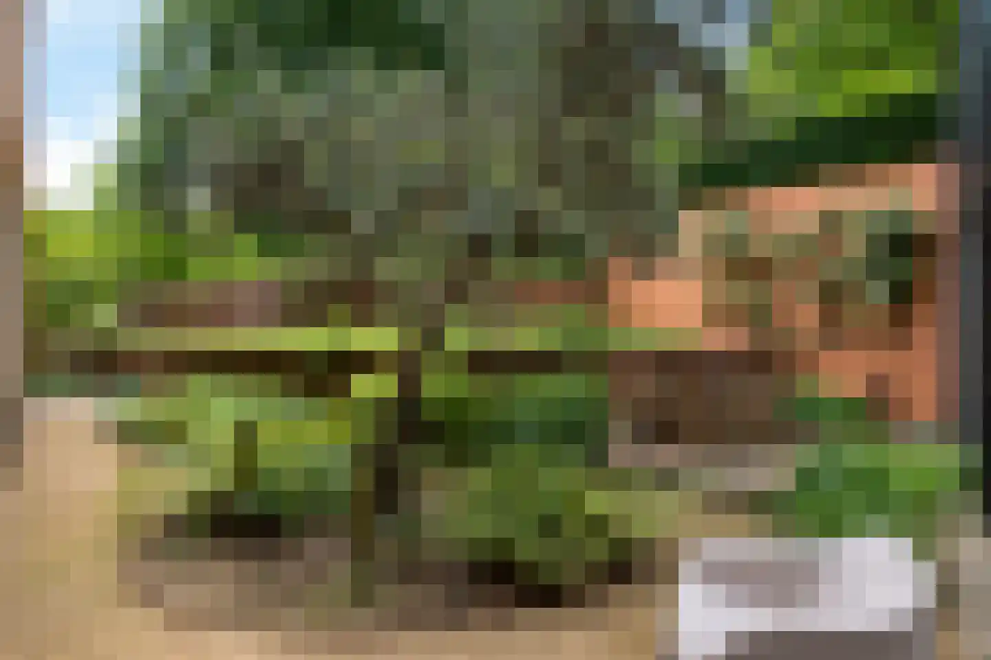 Monnikensteeg 10 Arnhem thumbnail 54