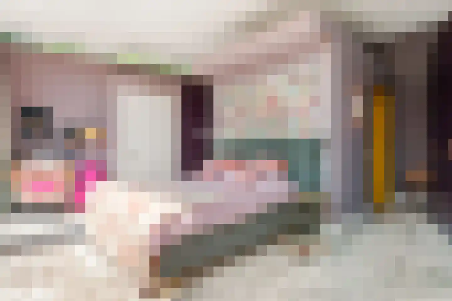 Monnikensteeg 10 Arnhem thumbnail 58