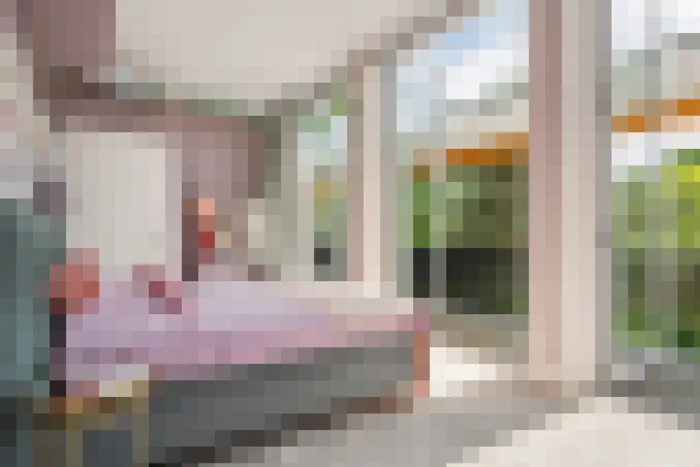 Monnikensteeg 10 Arnhem thumbnail 59