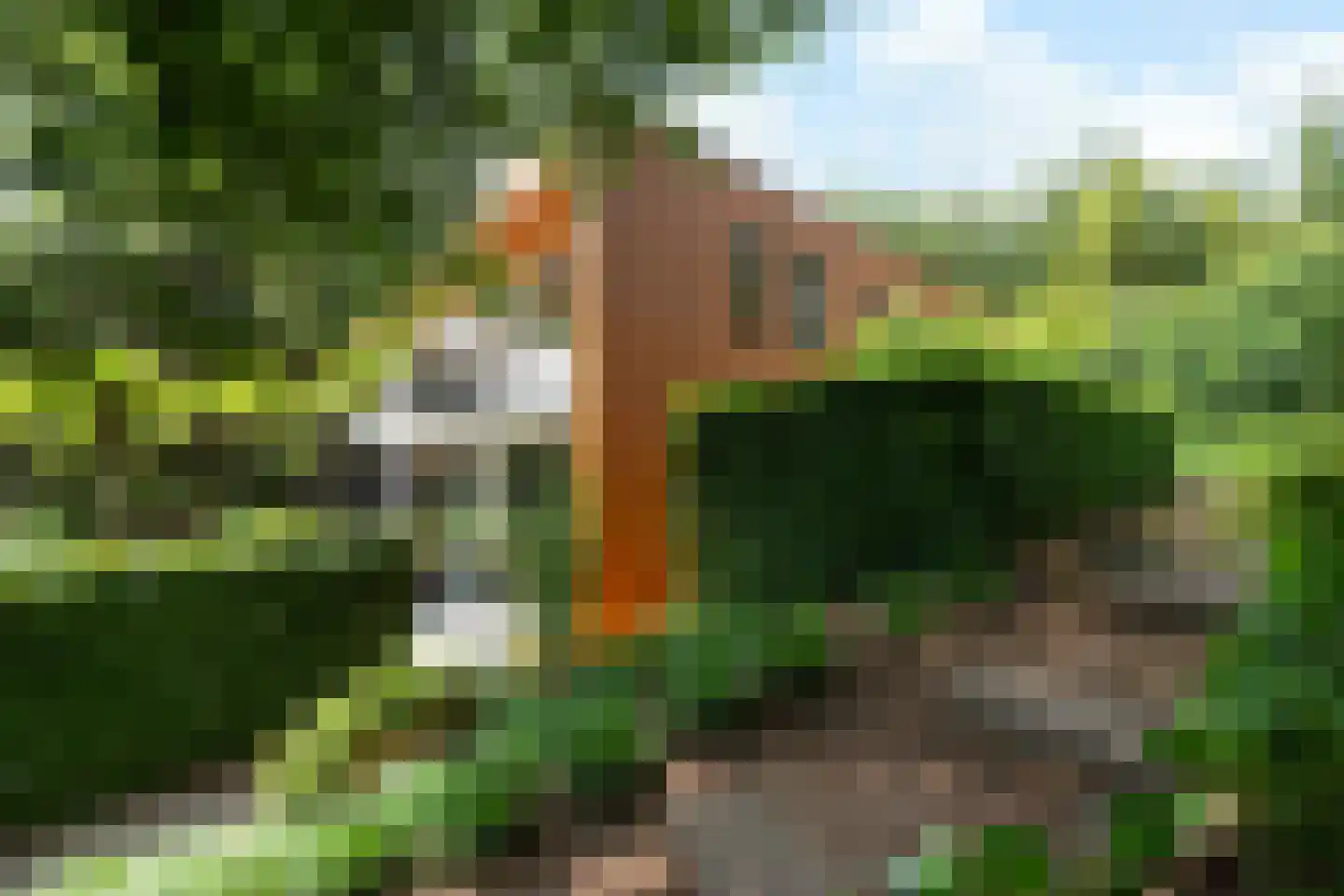 Monnikensteeg 10 Arnhem thumbnail 7