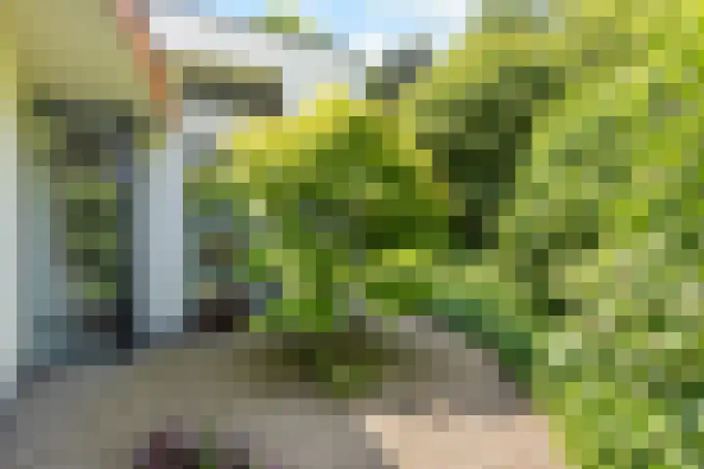 Monnikensteeg 10 Arnhem thumbnail 79