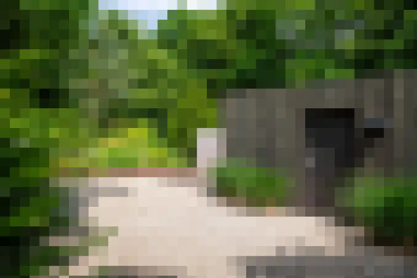 Monnikensteeg 10 Arnhem thumbnail 80