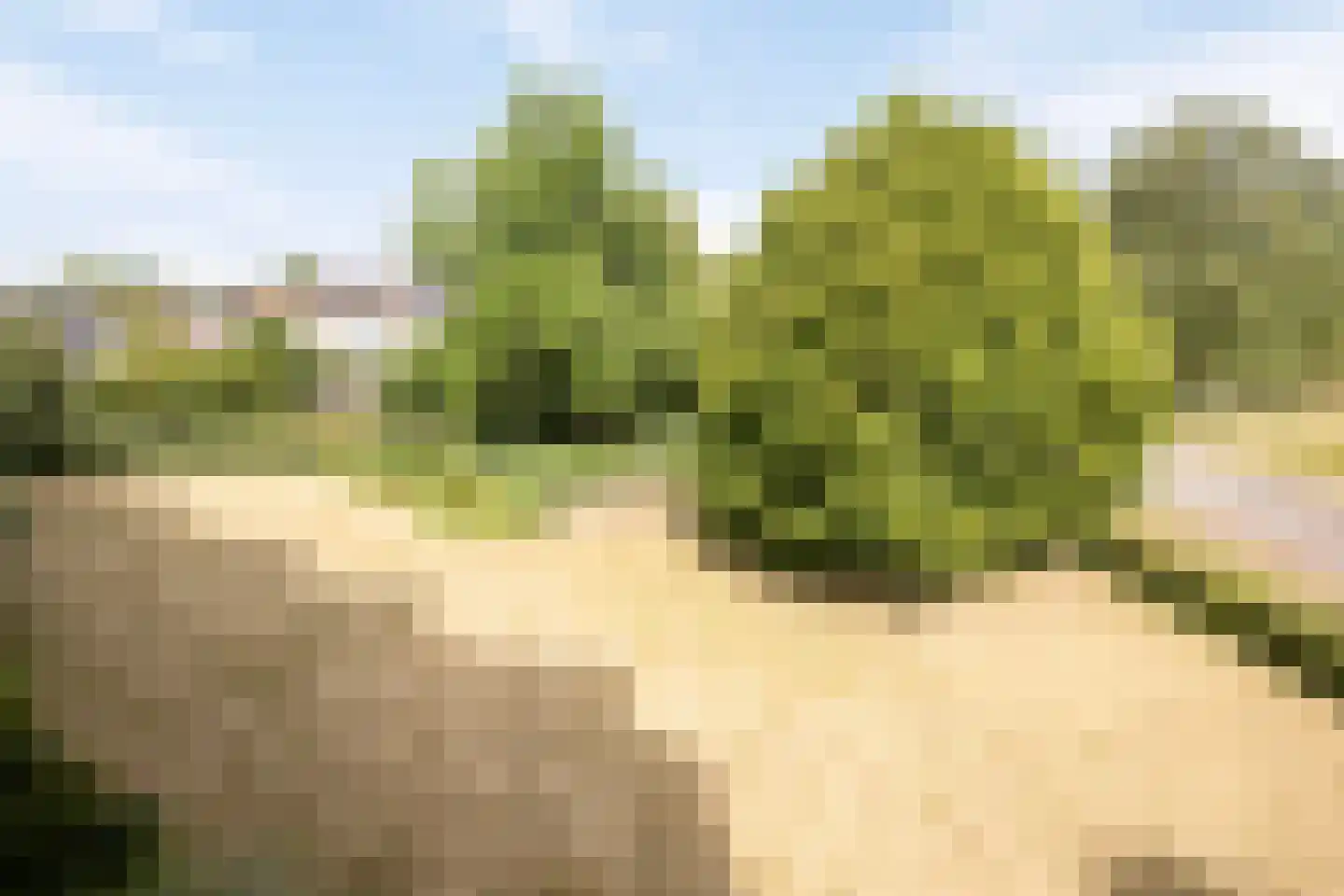 Monnikensteeg 104 Arnhem thumbnail 18