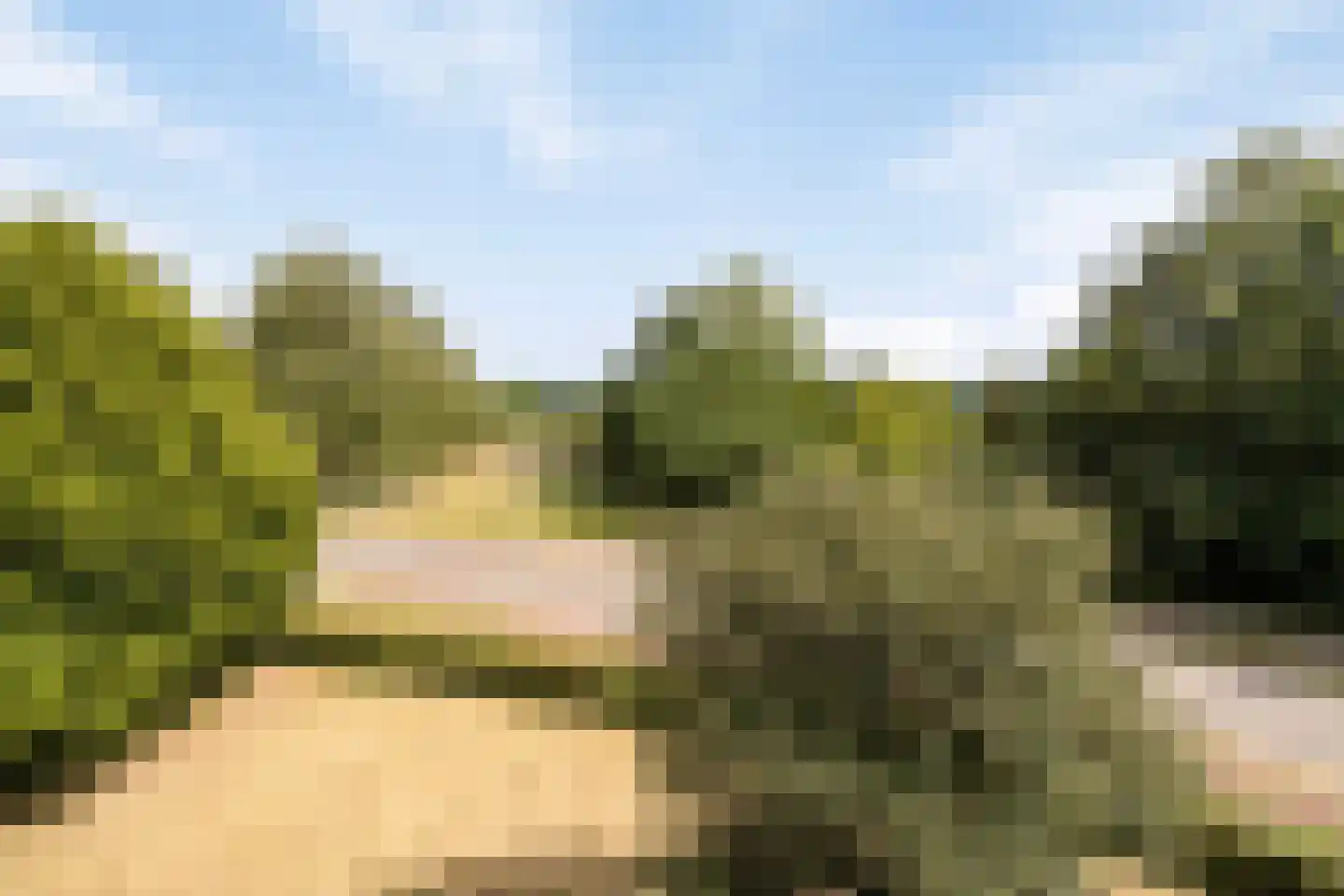 Monnikensteeg 104 Arnhem thumbnail 19