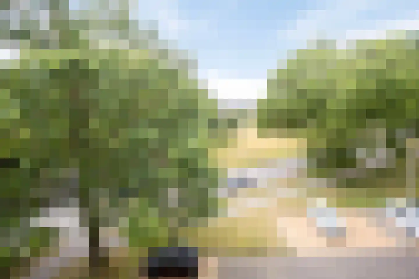 Monnikensteeg 104 Arnhem thumbnail 20