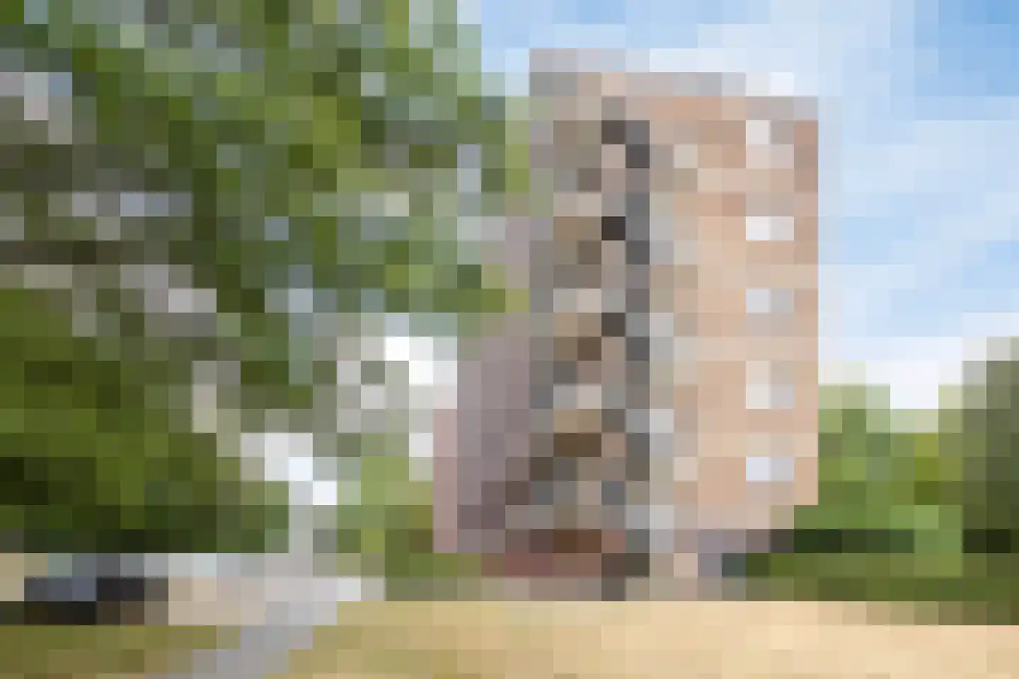 Monnikensteeg 104 Arnhem thumbnail 27