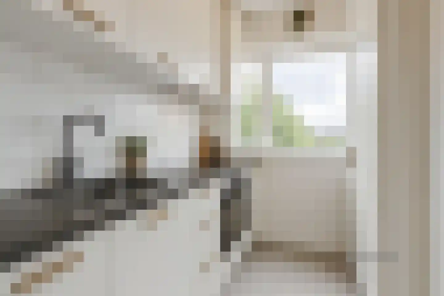 Monnikensteeg 104 Arnhem thumbnail 8