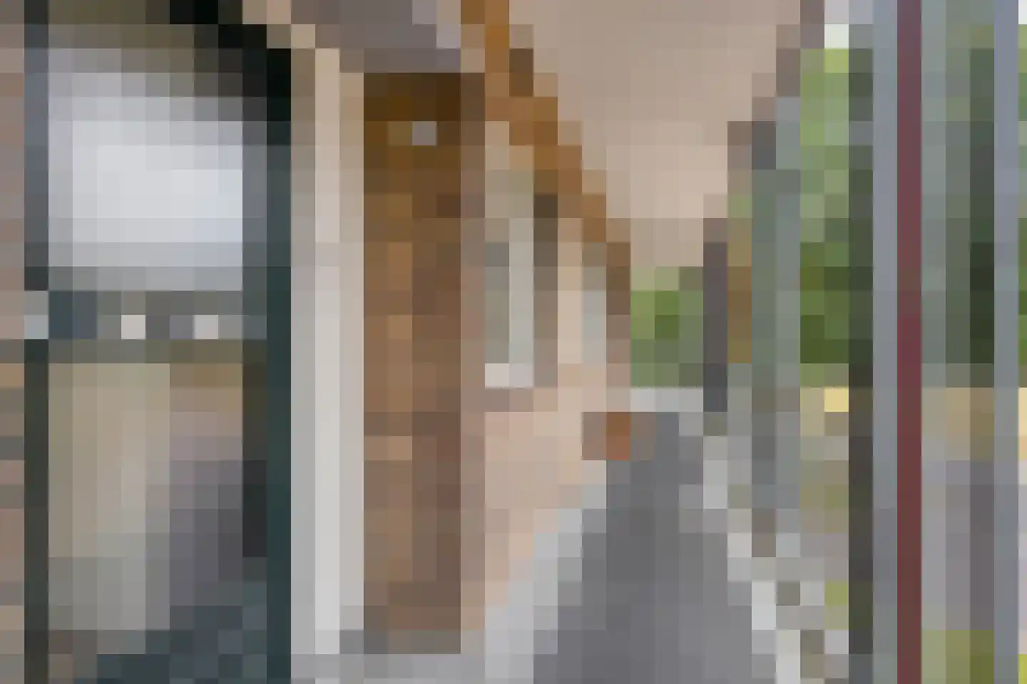 Monnikensteeg 154 Arnhem thumbnail 14