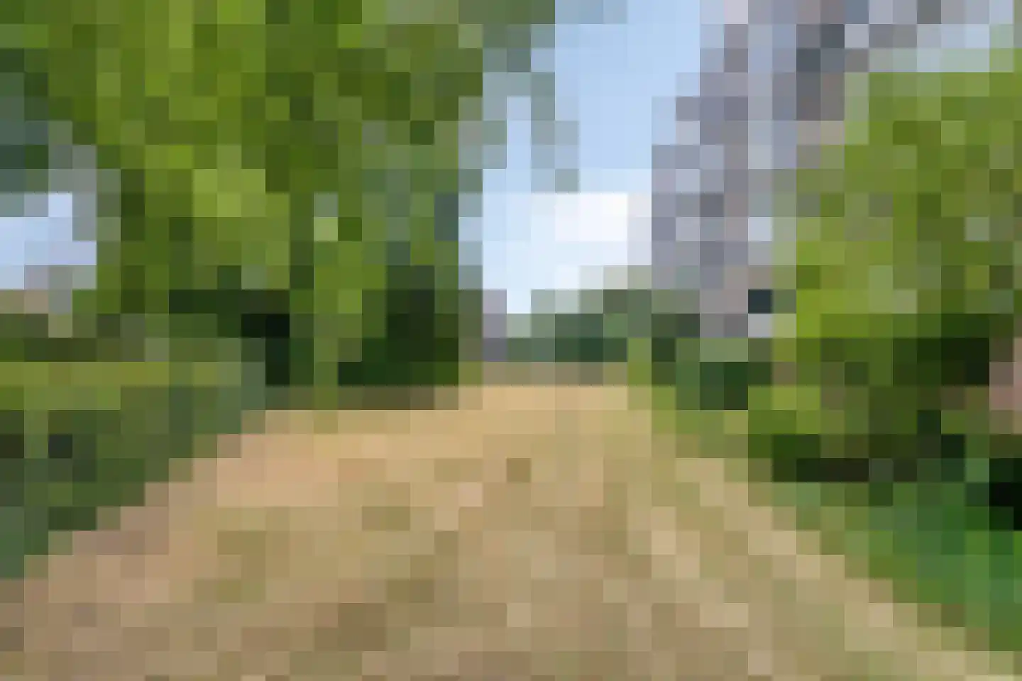 Monnikensteeg 154 Arnhem thumbnail 20