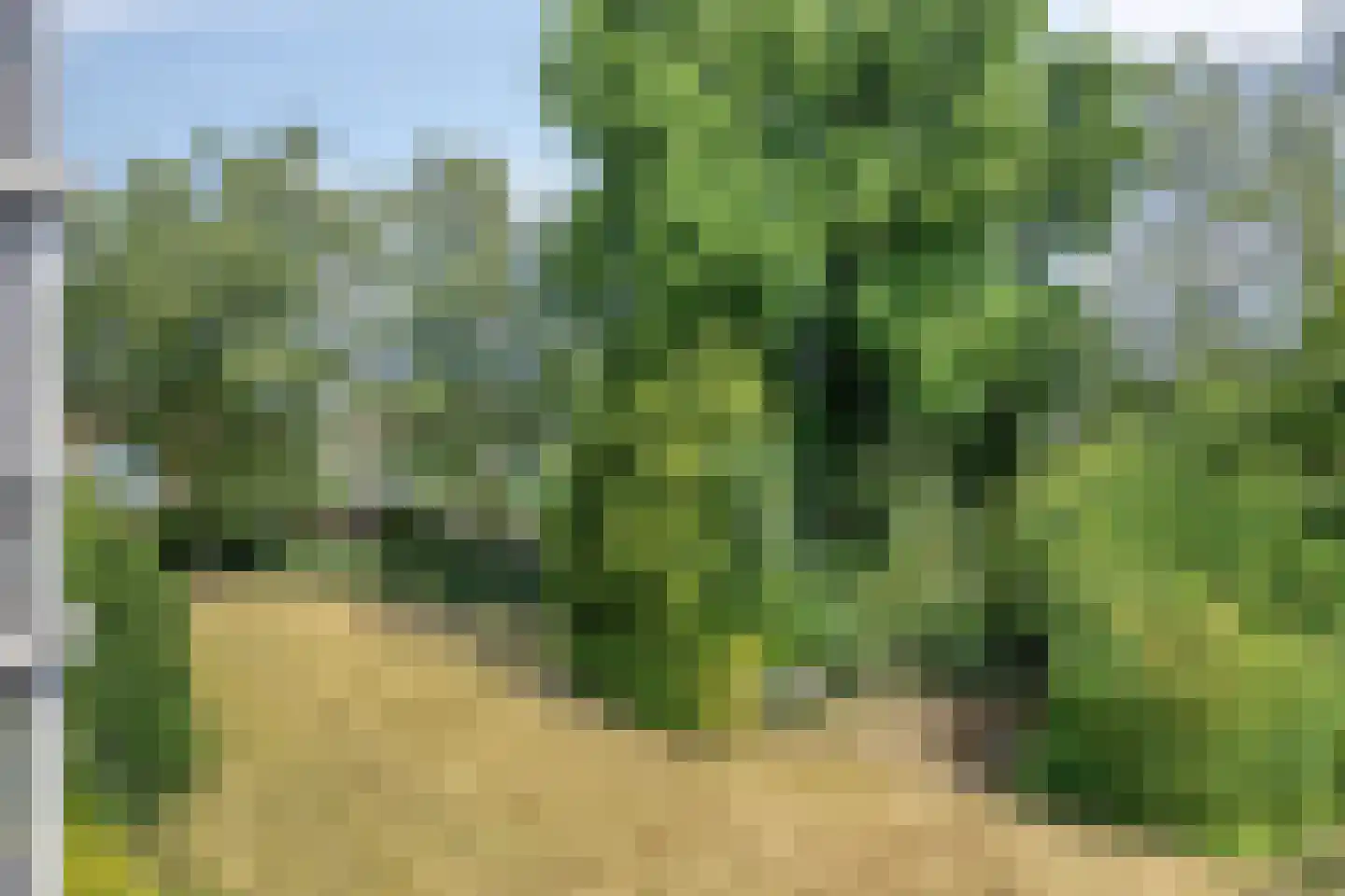Monnikensteeg 154 Arnhem thumbnail 22