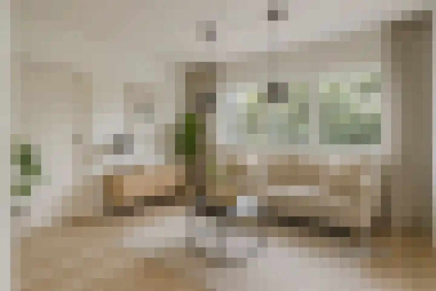 Monnikensteeg 218 Arnhem foto 2