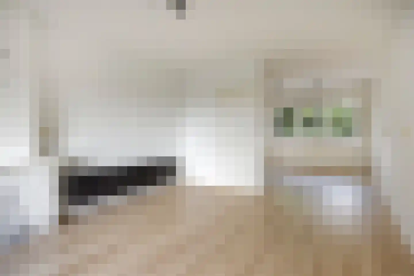 Monnikensteeg 218 Arnhem thumbnail 4
