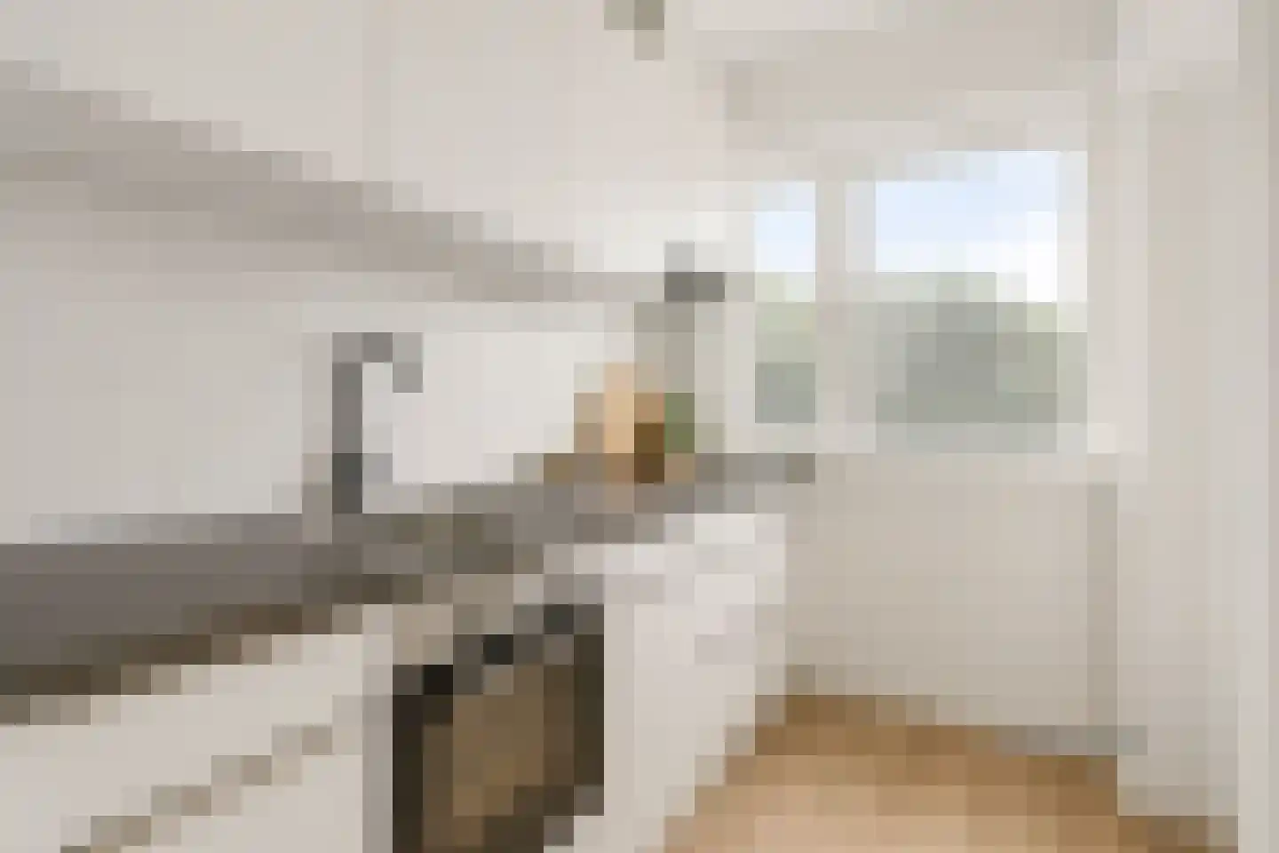 Monnikensteeg 246 Arnhem thumbnail 9