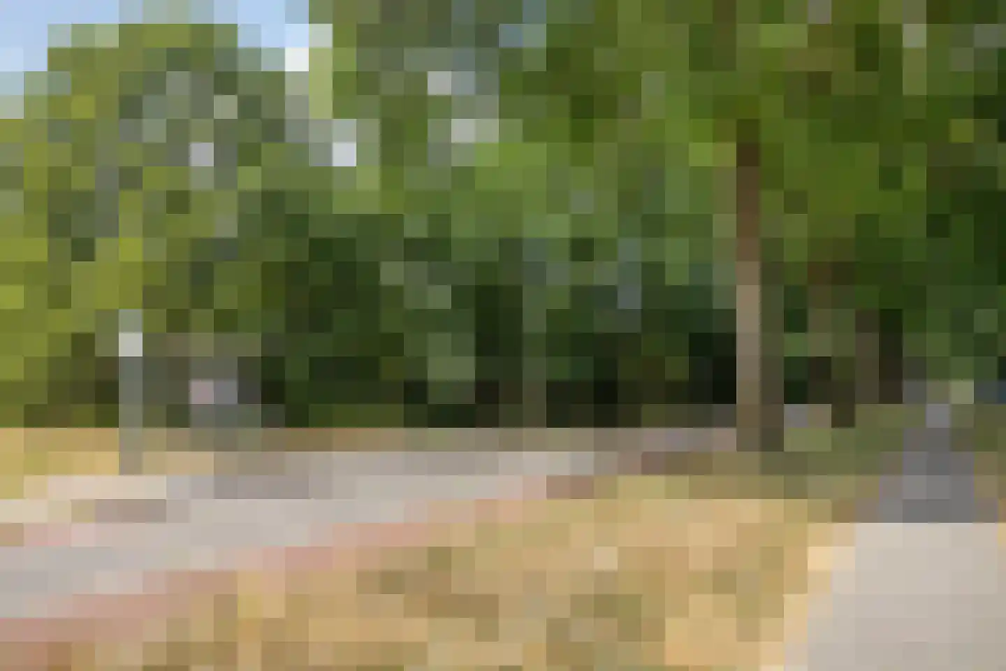 Monnikensteeg 252 Arnhem thumbnail 22