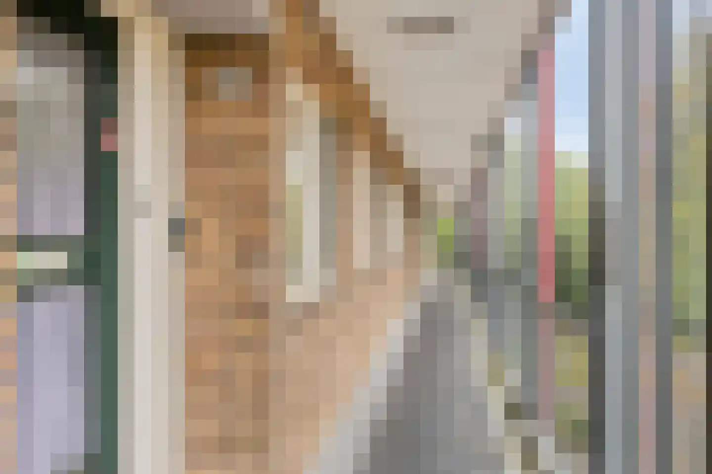 Monnikensteeg 290 Arnhem thumbnail 18