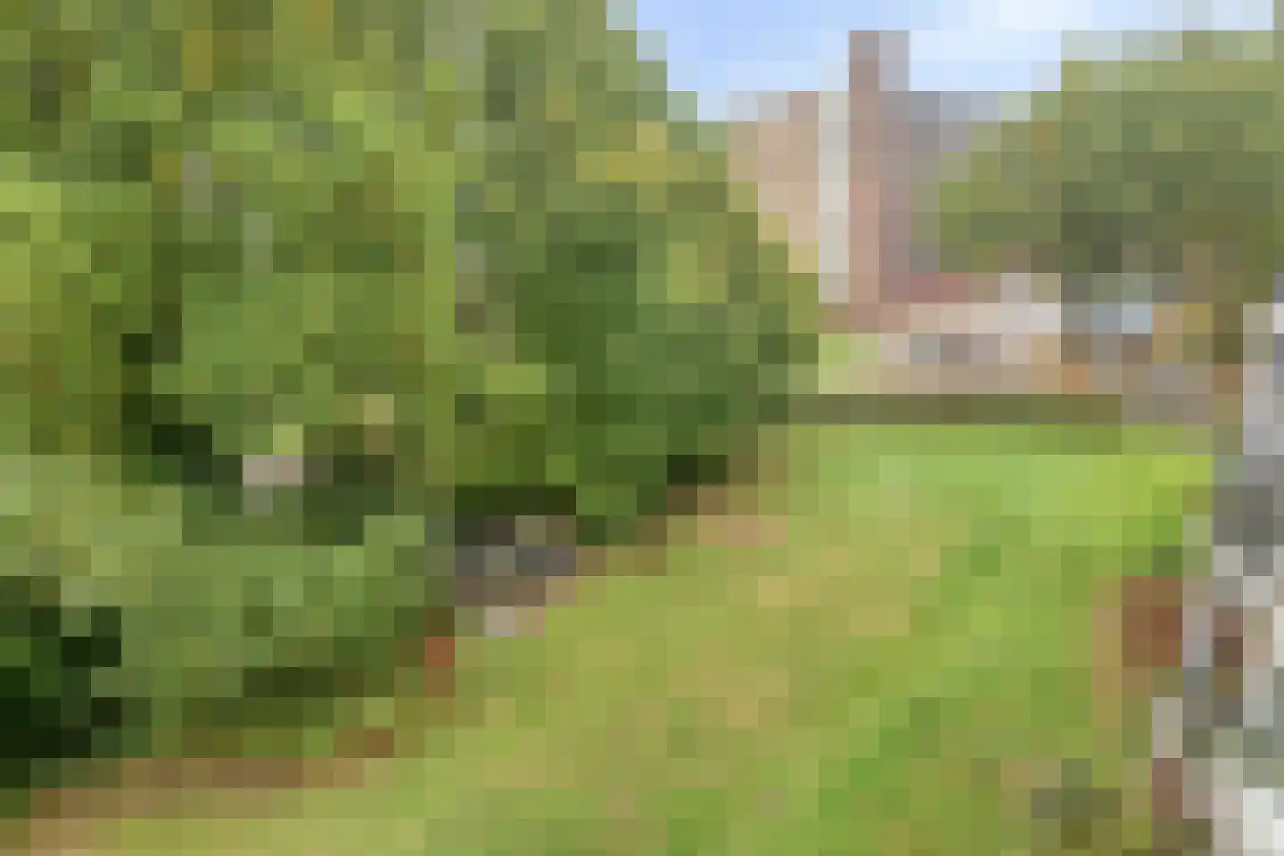 Monnikensteeg 290 Arnhem thumbnail 20