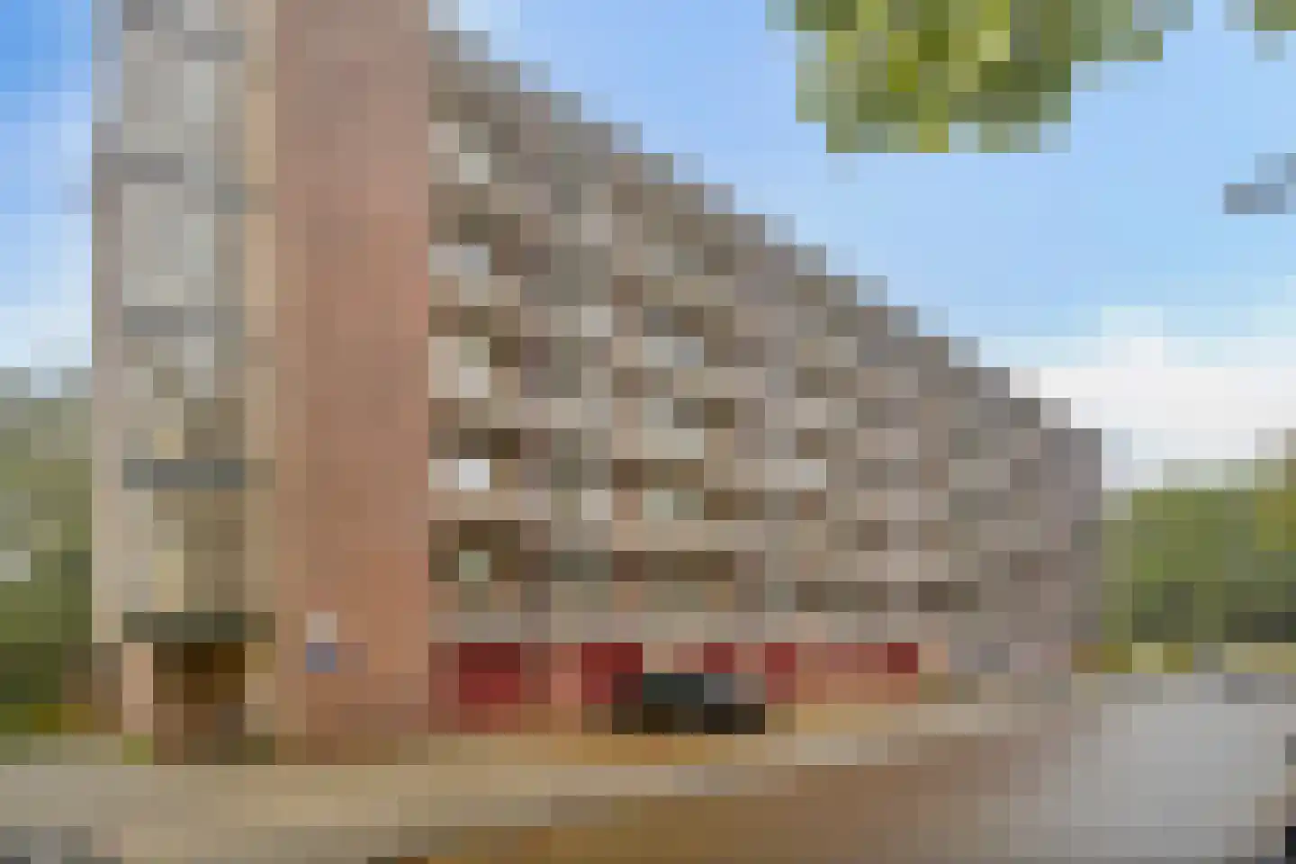 Monnikensteeg 290 Arnhem thumbnail 22