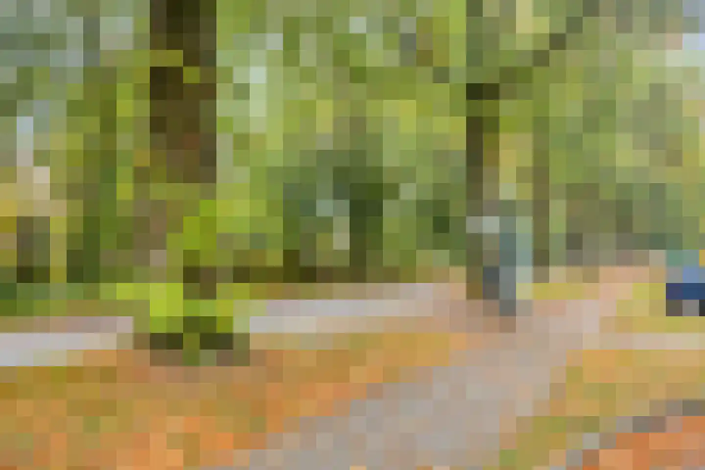 Monnikensteeg 290 Arnhem thumbnail 26