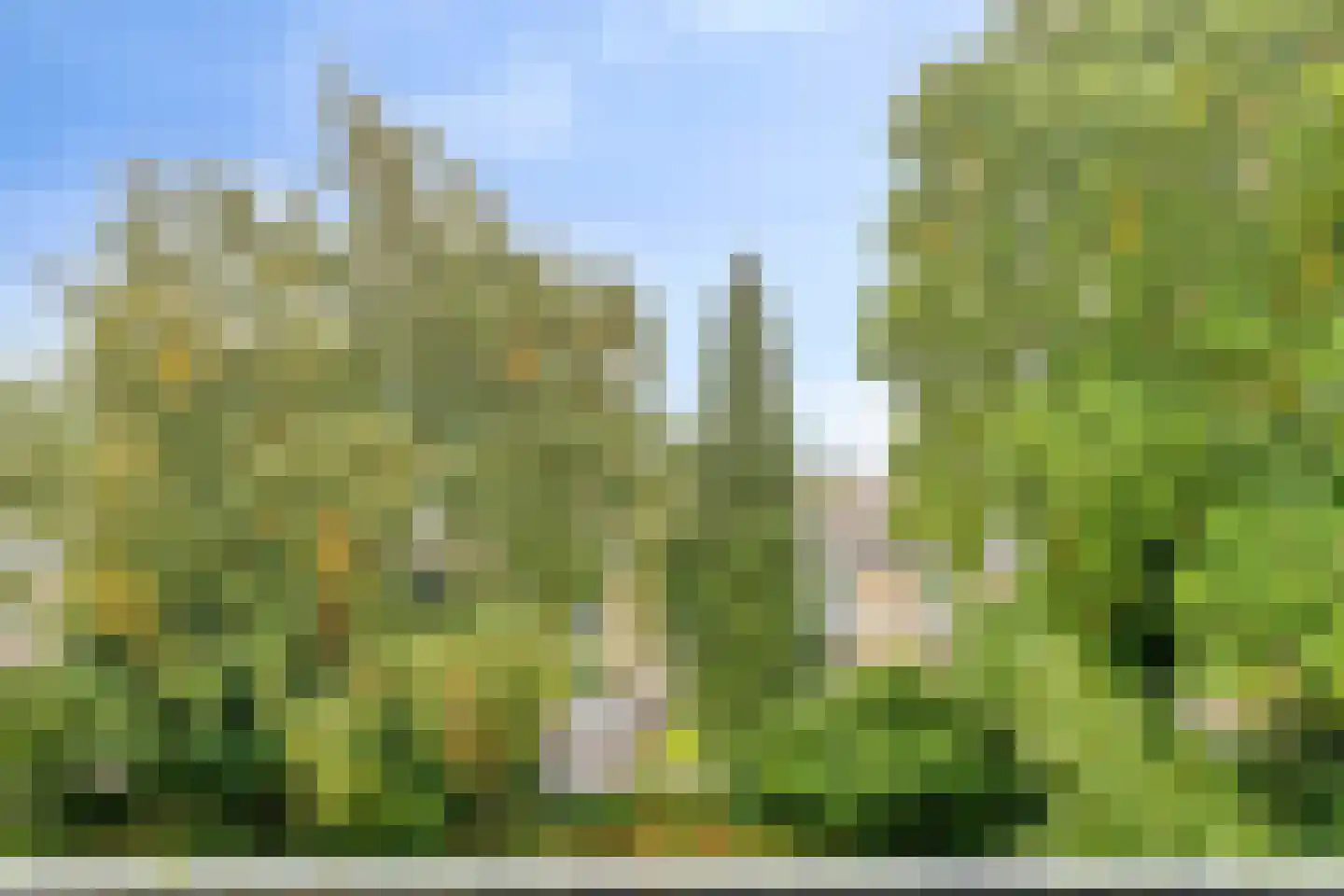 Monnikensteeg 290 Arnhem thumbnail 27
