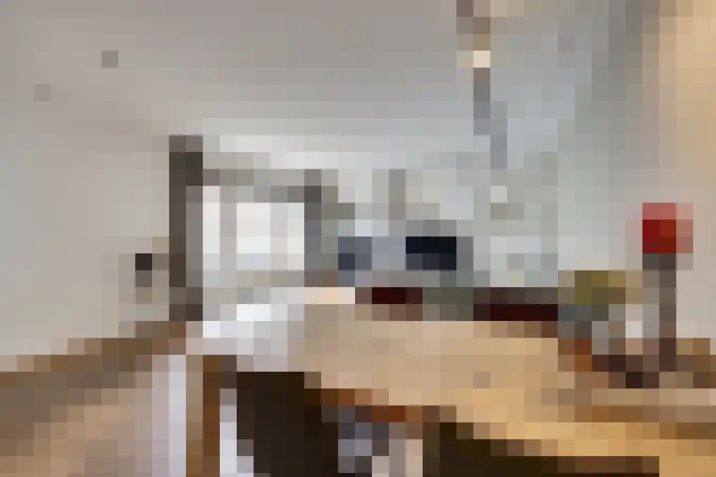 Monnikensteeg 3 Harderwijk thumbnail 11