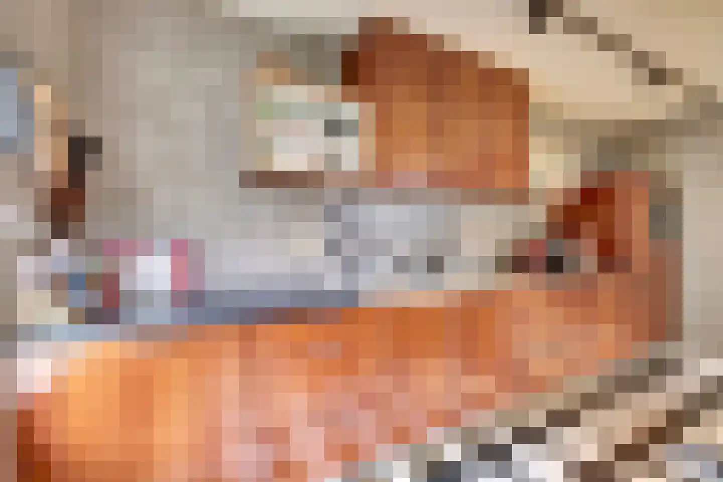 Monnikensteeg 3 Harderwijk thumbnail 14