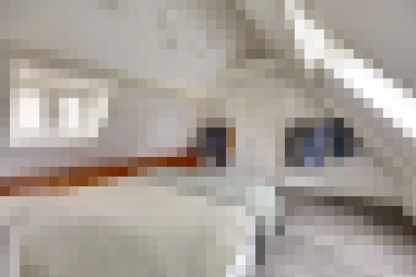 Monnikensteeg 3 Harderwijk thumbnail 19