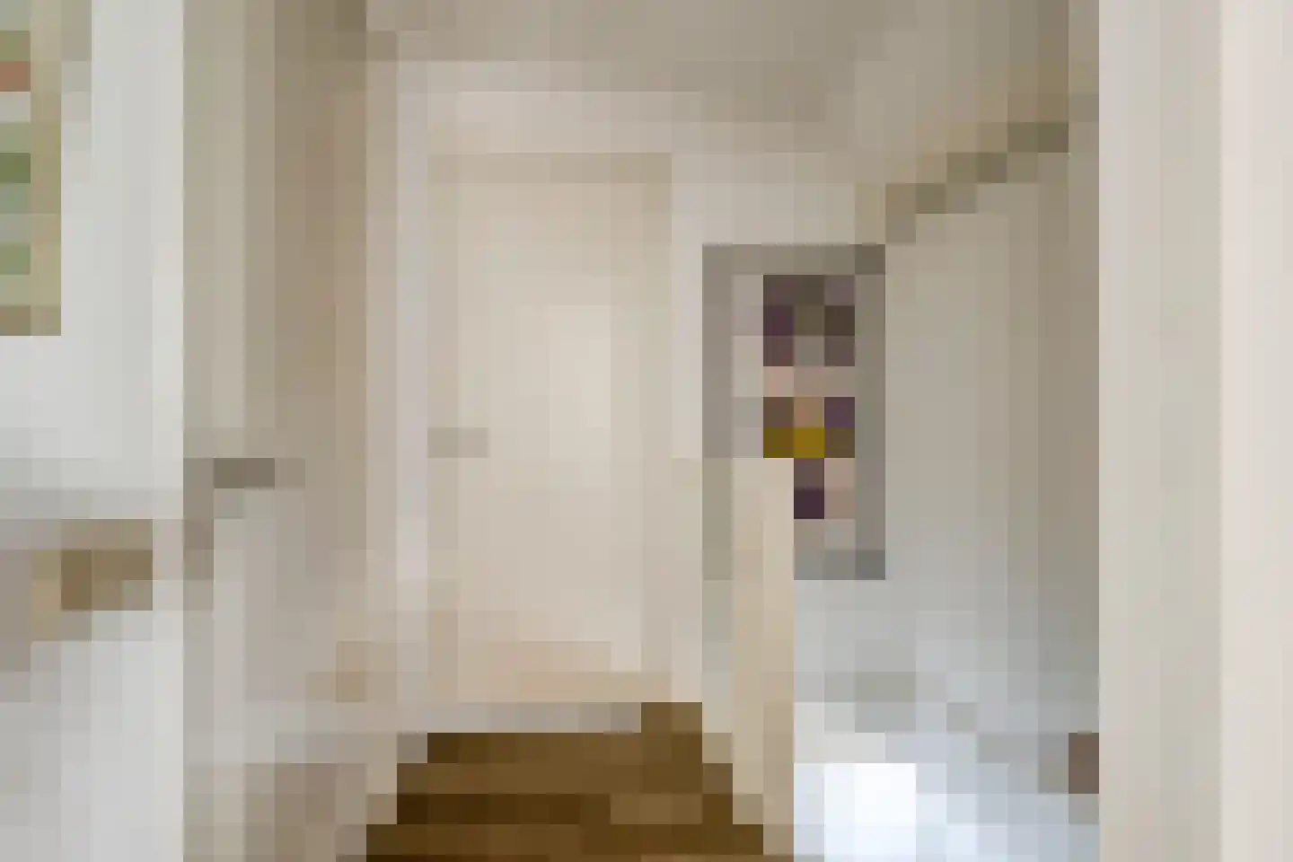 Monnikensteeg 3 Harderwijk thumbnail 21
