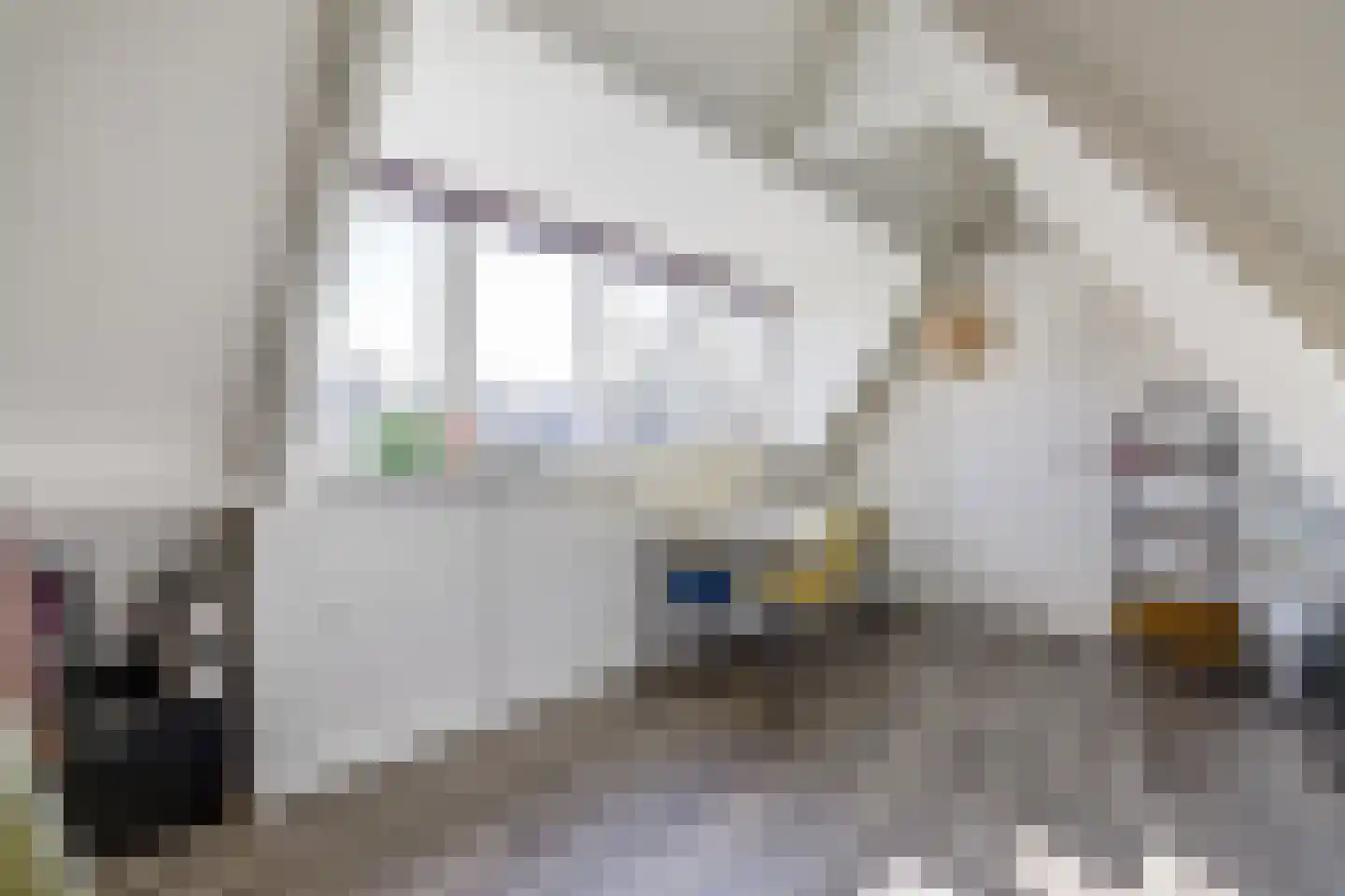 Monnikensteeg 3 Harderwijk thumbnail 22