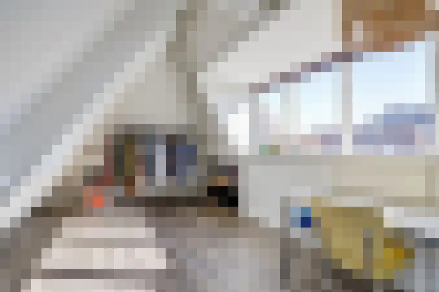 Monnikensteeg 3 Harderwijk thumbnail 24
