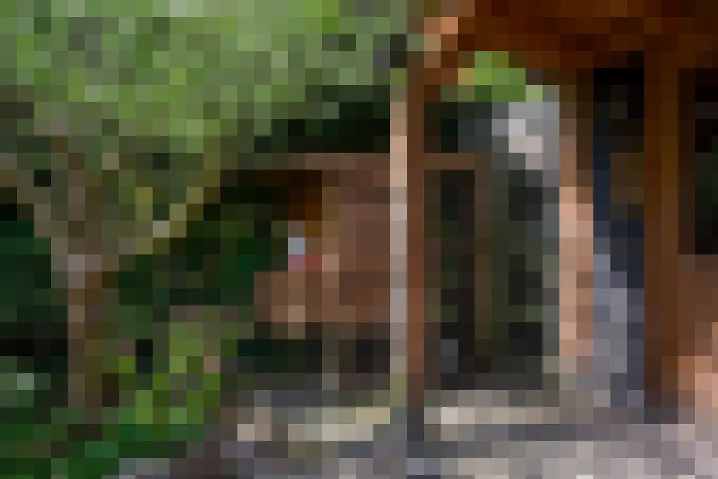 Monnikensteeg 3 Harderwijk thumbnail 29