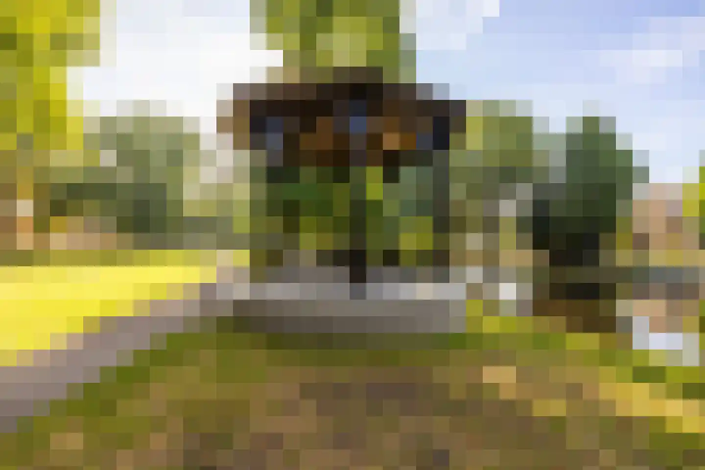 Monnikensteeg 3 Harderwijk thumbnail 34