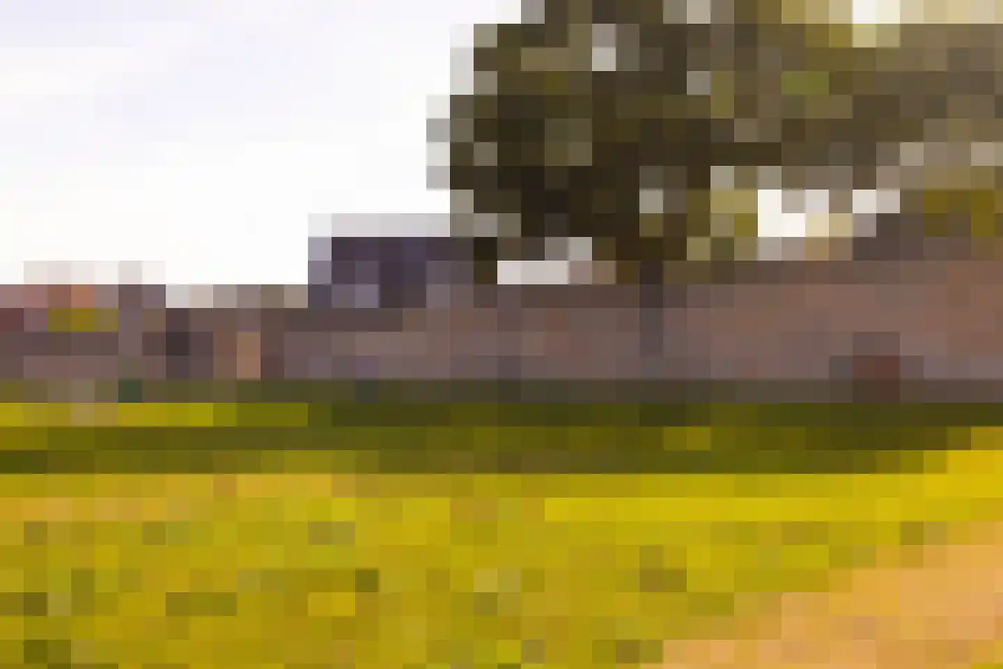 Monnikensteeg 3 Harderwijk thumbnail 38
