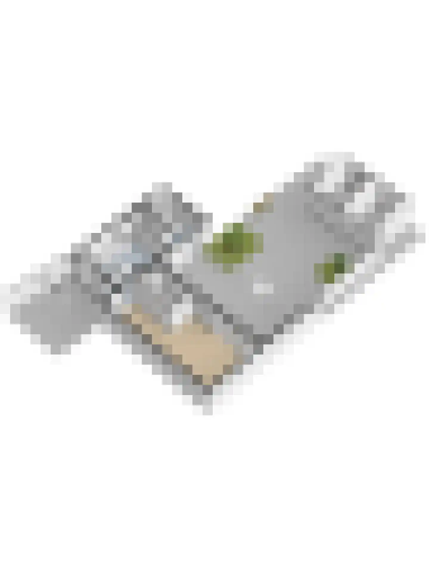Monnikensteeg 3 Harderwijk thumbnail 51