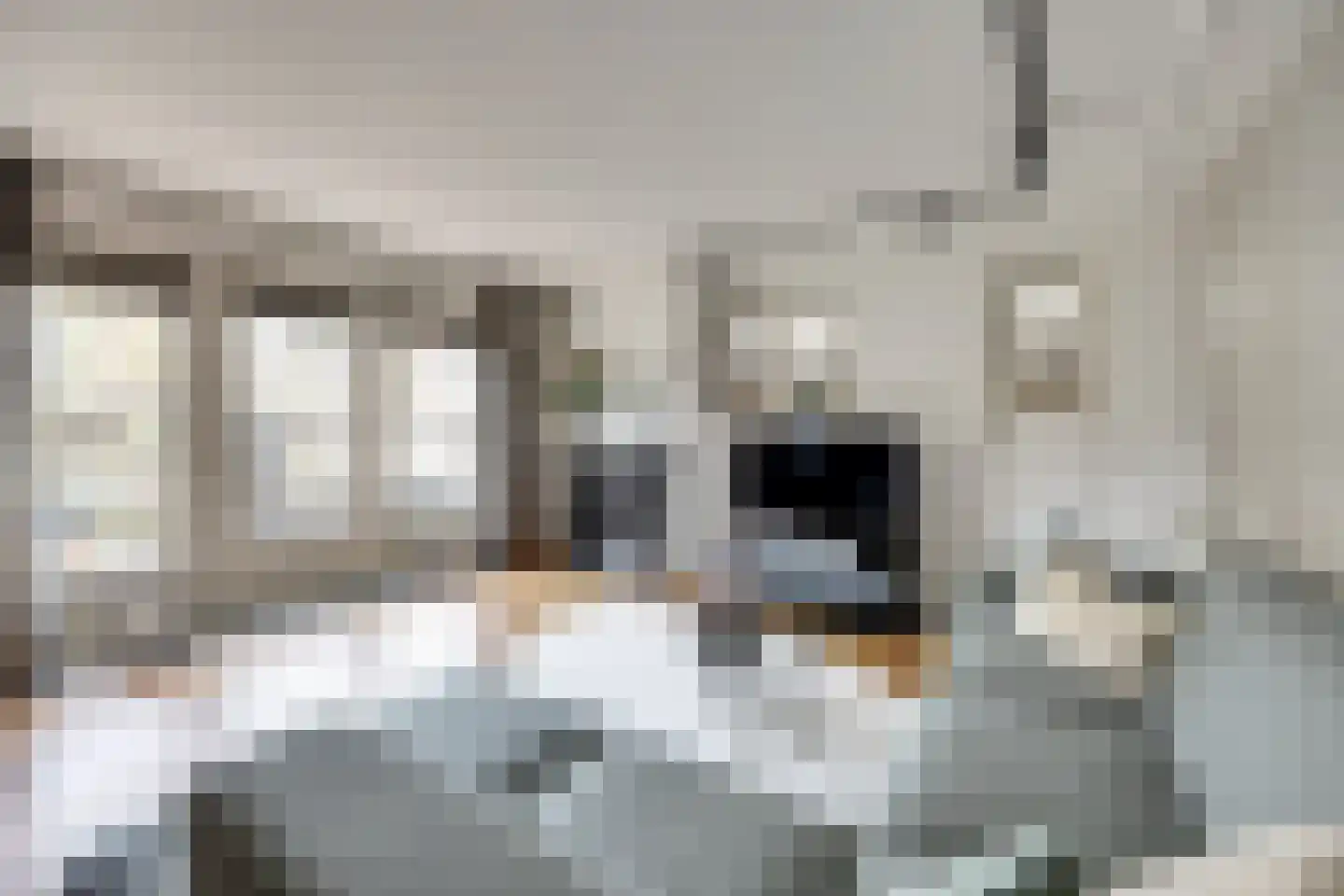 Monnikensteeg 3 Harderwijk thumbnail 9