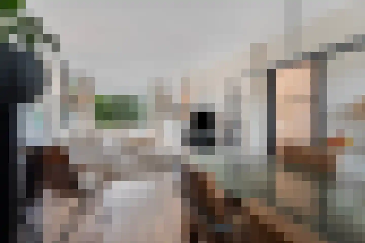 Monnikensteeg 312 Arnhem thumbnail 17