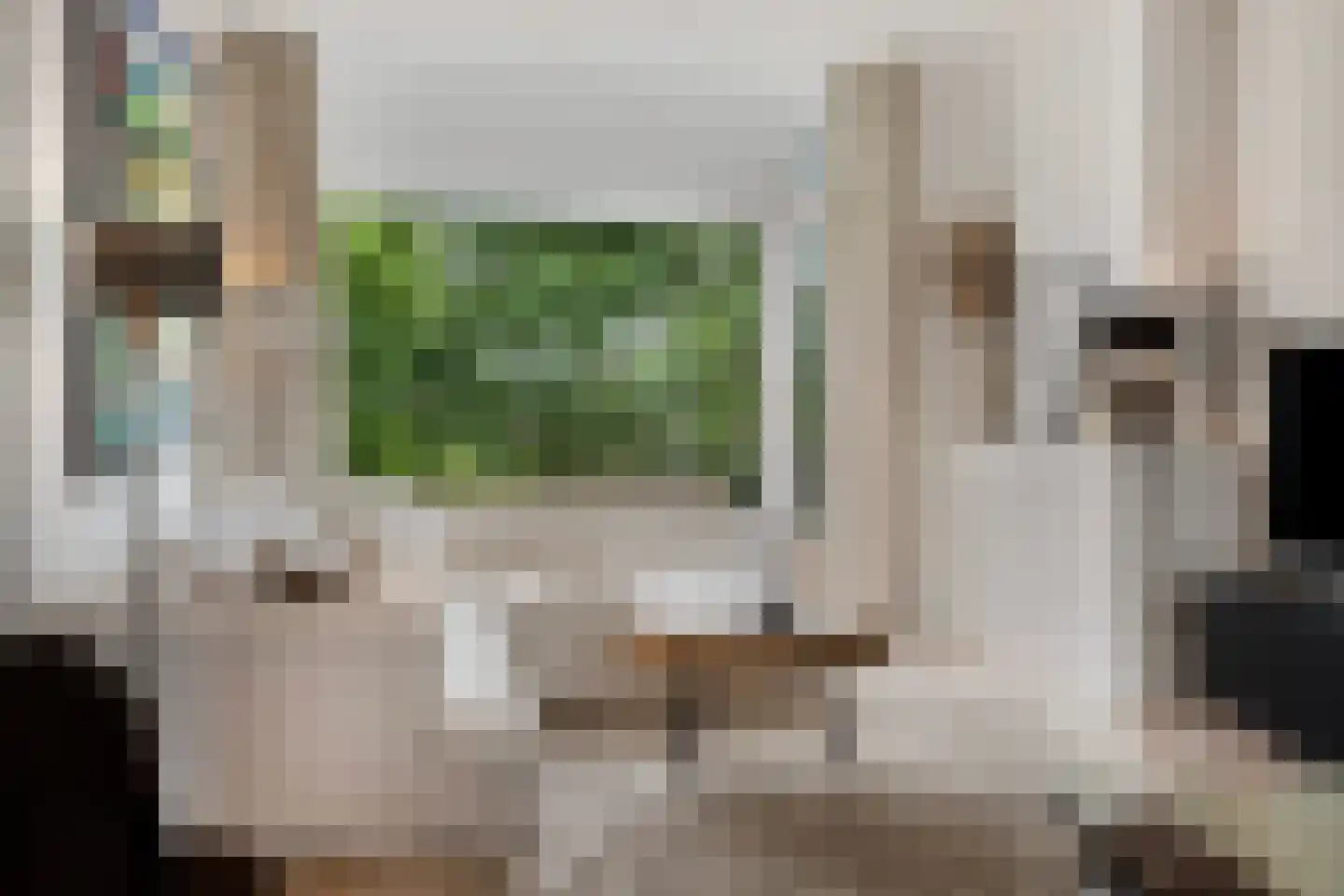 Monnikensteeg 312 Arnhem thumbnail 18